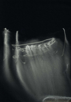 http://www.actionaqua.com/files/gimgs/th-113_20250723DJI0003invert.jpg