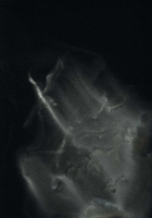 http://www.actionaqua.com/files/gimgs/th-113_20250723DJI0005invert.jpg