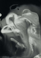 http://www.actionaqua.com/files/gimgs/th-113_20250723DJI0006invert.jpg