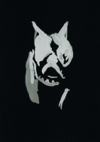 http://www.actionaqua.com/files/gimgs/th-114_20250110fhd0092invert.jpg
