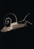 http://www.actionaqua.com/files/gimgs/th-114_20250528DJI0003invert.jpg