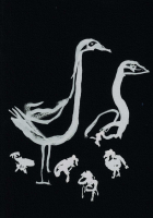 http://www.actionaqua.com/files/gimgs/th-114_20250625DJI0001invert.jpg