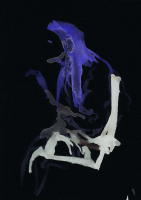 http://www.actionaqua.com/files/gimgs/th-121_20241228fhd0068-69invert.jpg