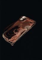 http://www.actionaqua.com/files/gimgs/th-121_20250127fhd0032invert.jpg