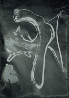 http://www.actionaqua.com/files/gimgs/th-121_20250208fhd0043invert.jpg