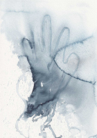 http://www.actionaqua.com/files/gimgs/th-126_20250531DJI0006.jpg
