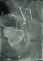 http://www.actionaqua.com/files/gimgs/th-127_20250208fhd0035invert.jpg