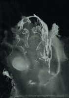 http://www.actionaqua.com/files/gimgs/th-127_20250208fhd0036invert.jpg