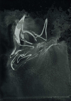 http://www.actionaqua.com/files/gimgs/th-127_20250208fhd0045invert.jpg