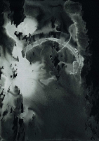 http://www.actionaqua.com/files/gimgs/th-127_20250208fhd0048invert.jpg