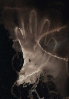 http://www.actionaqua.com/files/gimgs/th-127_20250531DJI0006invert.jpg