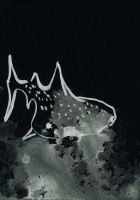 http://www.actionaqua.com/files/gimgs/th-127_20250703DJI0002invert.jpg