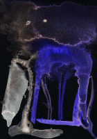 http://www.actionaqua.com/files/gimgs/th-127_20250905DJI0002invert.jpg