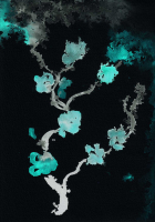 http://www.actionaqua.com/files/gimgs/th-127_20250906DJI0015invert.jpg