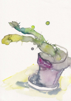 http://www.actionaqua.com/files/gimgs/th-128_20250310dji0001-02.jpg