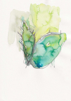 http://www.actionaqua.com/files/gimgs/th-128_20250310dji0003-04.jpg
