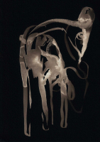 http://www.actionaqua.com/files/gimgs/th-129_20250228dji0012fZeitinvert.jpg
