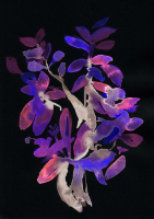 http://www.actionaqua.com/files/gimgs/th-129_20250307dji0002-03invert.jpg