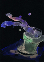 http://www.actionaqua.com/files/gimgs/th-129_20250310dji0001-02invert.jpg