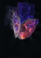 http://www.actionaqua.com/files/gimgs/th-129_20250310dji0003-04invert_v3.jpg