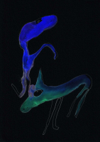 http://www.actionaqua.com/files/gimgs/th-129_20250314K2dji0002-3invert.jpg