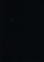 http://www.actionaqua.com/files/gimgs/th-129_20250315dji0007invert.jpg