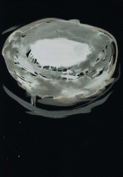 http://www.actionaqua.com/files/gimgs/th-129_20250620DJI110031invert.jpg