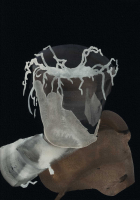http://www.actionaqua.com/files/gimgs/th-129_20251011DJI0011invert.jpg