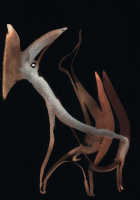 http://www.actionaqua.com/files/gimgs/th-129_20251012DJI0016invert.jpg