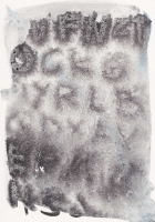 http://www.actionaqua.com/files/gimgs/th-132_20260204DJI0004.jpg