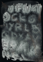 http://www.actionaqua.com/files/gimgs/th-133_20260204DJI0004invert.jpg