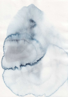 http://www.actionaqua.com/files/gimgs/th-134_20250512DJI00021.jpg