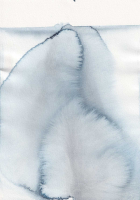 http://www.actionaqua.com/files/gimgs/th-134_20250516DJI0013.jpg