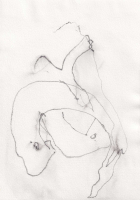 http://www.actionaqua.com/files/gimgs/th-134_20250523DJI0016.jpg