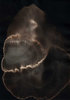 http://www.actionaqua.com/files/gimgs/th-135_20250512DJI00021invert.jpg