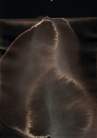http://www.actionaqua.com/files/gimgs/th-135_20250516DJI0013invert.jpg