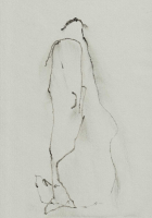 http://www.actionaqua.com/files/gimgs/th-135_20250523DJI0014invert.jpg