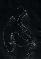 http://www.actionaqua.com/files/gimgs/th-135_20250523DJI0016invert.jpg