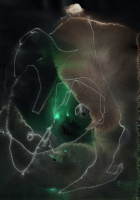 http://www.actionaqua.com/files/gimgs/th-135_20250523DJI0017invert.jpg