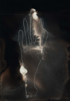 http://www.actionaqua.com/files/gimgs/th-138_20250531DJI0004invert.jpg