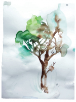 http://www.actionaqua.com/files/gimgs/th-13_Bild-4-Web.jpg