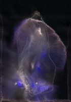 http://www.actionaqua.com/files/gimgs/th-140_20250826DJI0001-02invert.jpg