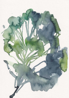 http://www.actionaqua.com/files/gimgs/th-141_20250811DJI0011.jpg