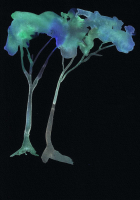 http://www.actionaqua.com/files/gimgs/th-142_20250805DJI0017invert.jpg