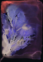http://www.actionaqua.com/files/gimgs/th-142_20250811DJI0002invert.jpg