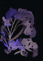 http://www.actionaqua.com/files/gimgs/th-142_20250811DJI0004invert.jpg