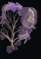 http://www.actionaqua.com/files/gimgs/th-142_20250811DJI0008invert.jpg