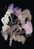http://www.actionaqua.com/files/gimgs/th-142_20250811DJI0012invert.jpg