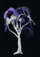 http://www.actionaqua.com/files/gimgs/th-142_20250813DJI0001invert.jpg