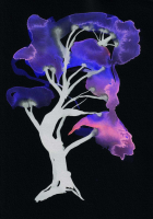 http://www.actionaqua.com/files/gimgs/th-142_20250813DJI0002invert.jpg
